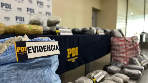 Incautan más de 136 kilos de cannabis que iban a ser distribuidos en La Araucanía