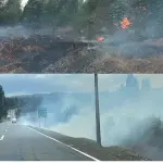 Un incendio forestal se registró esta tarde en el sector de El Cardal en Nacimiento, Manuel Shejade