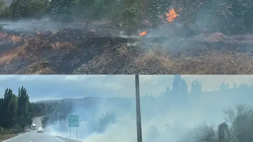 Violento incendio forestal afectó a la comuna de Nacimiento