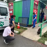 Alcalde de Cabrero visitó a \'Cholo\' durante su atención veterinaria, Municipalidad de Cabrero