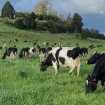 Durante la reunión, los dirigentes coordinaron la ayuda logística para las zonas afectadas por los incendios y analizaron las cifras de recepción de leche de la temporada 2025.