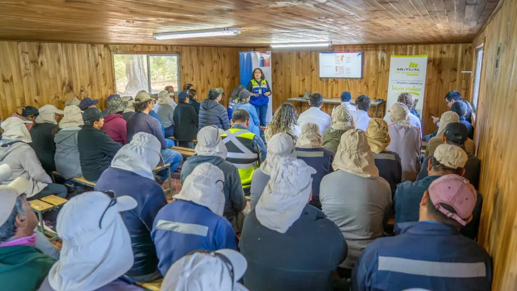 Fiscalizaciones que velan por condiciones laborales de trabajadores del sector agrícola, Seremi de Salud Biobío