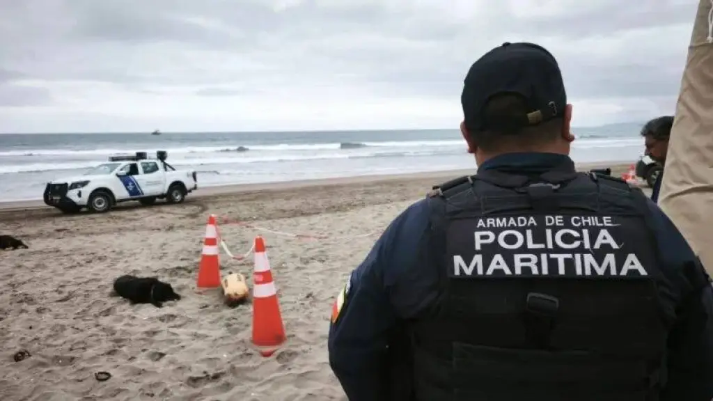 El joven fue trasladado en estado crítico a un recinto asistencial., Armada de Chile