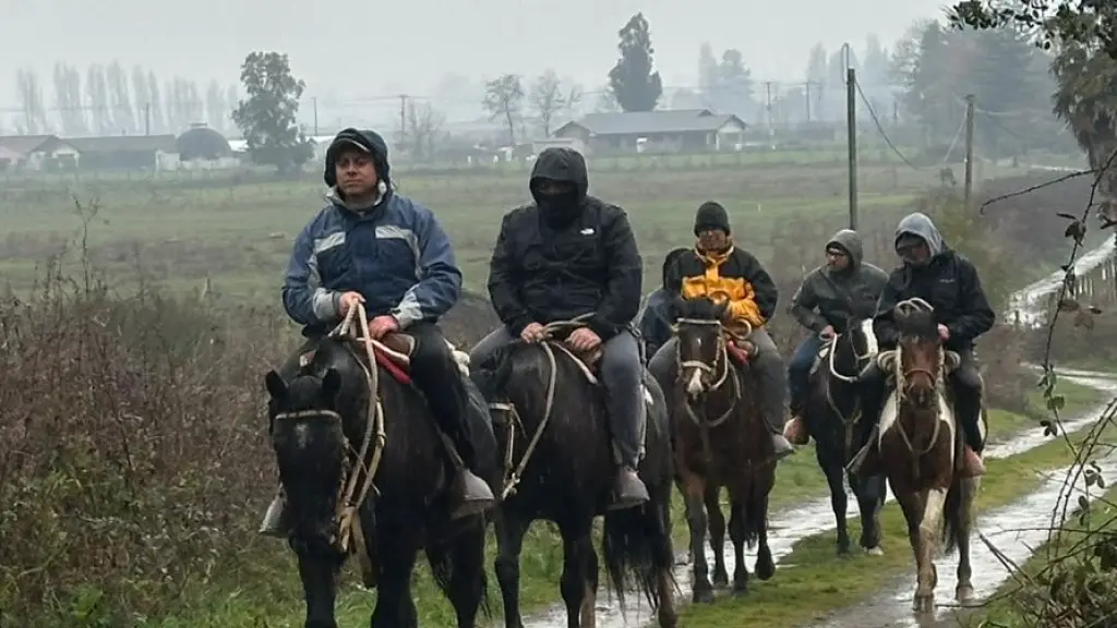 Los paseos a caballo son uno de los servicios que ofrece Equinoturismo, Equinoturismo