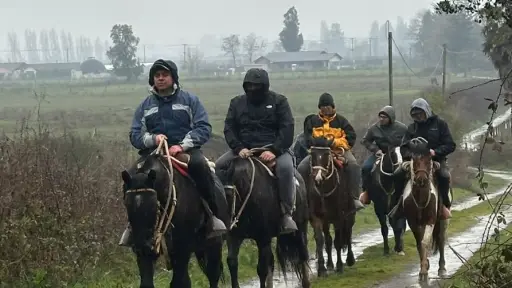 Primera Expo Caballos de Los Ángeles abre sus puertas este fin de semana