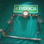 Tras una denuncia oportuna al 133 que permitió recuperar las especies sustraídas., cedida