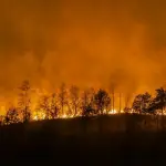 Praderas y cercos perimetrales, los más afectados por incendios forestales según Indap, referencial