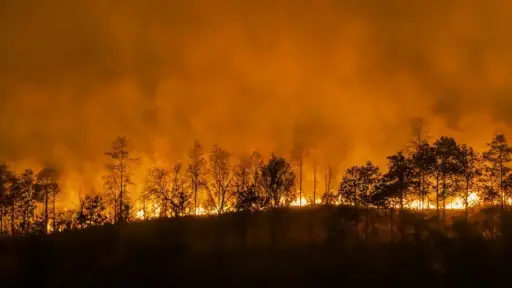 Praderas y cercos perimetrales: los más afectados por los incendios forestales en la provincia 