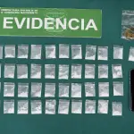 Especies incautadas por Carabineros en Nacimiento, Cedida