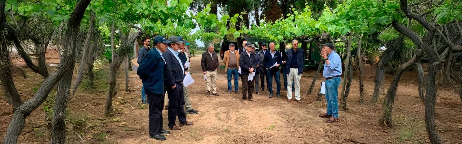 El Encuentro Regional GTT Biobío, programado para agosto, se desarrollará de manera paralela a una inédita Feria Internacional de Agrotecnología. / Fundación GTT