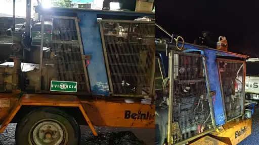 Robo en Los Ángeles termina con detención en Mulchén y recuperación de motores y herramientas