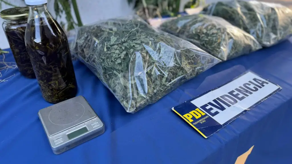 Droga incautada por la PDI, PDI Araucanía