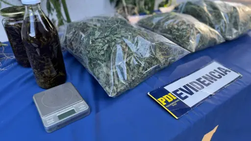 Allanamiento deja un detenido por microtráfico de drogas en Purén