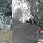 Vecinos denuncian reiterados robos y ocupaciones irregulares en la ribera del estero Paillihue, Diario La Tribuna