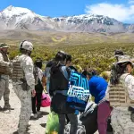 La federación gremial solicita una intervención coordinada para evitar que Chile pierda su estatus de país libre de plagas.