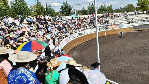 Medialuna de Socabio recibirá el Clasificatorio Zonal Sur de rodeo entre el 25 de febrero y el 1 de marzo
