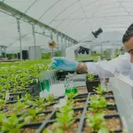 El inicio del proceso de consulta pública apunta a modernizar la regulación biotecnológica en el agro chileno.