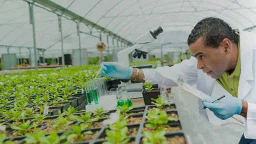 Nueva normativa promete revolucionar la agricultura chilena con alimentos más nutritivos en tiempo récord