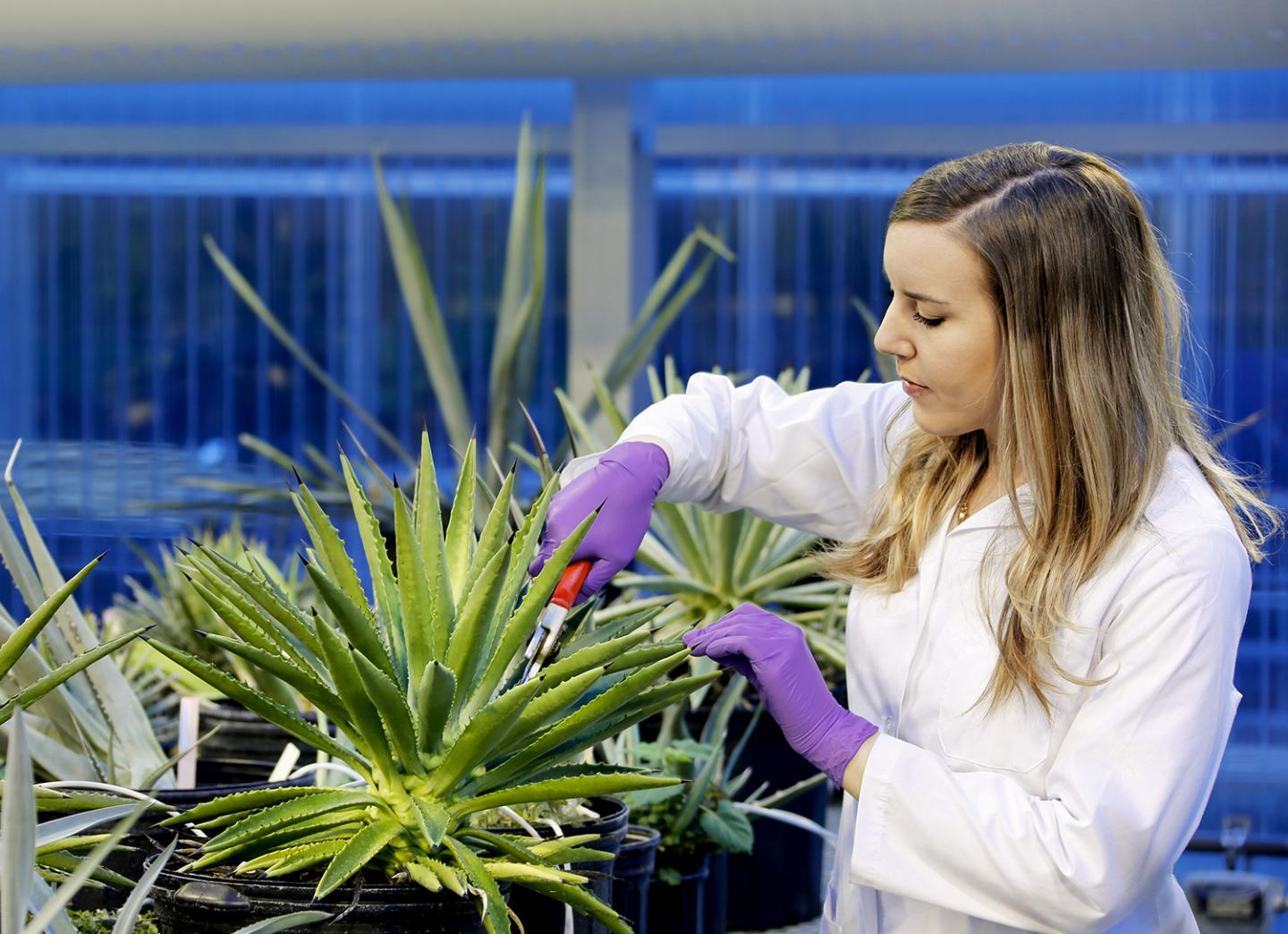 Foto de contexto. / ChileBIO