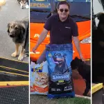 \'\'Ellos esperan el bus\': conductor cabrerino dedica su sueldo y sus viajes al rescate de animales, Diario La Tribuna