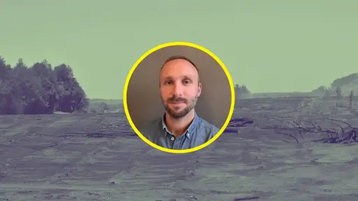 La ciudad crece hacia el peligro: experto advierte falta de planificación en zona de interfaz de Los Ángeles