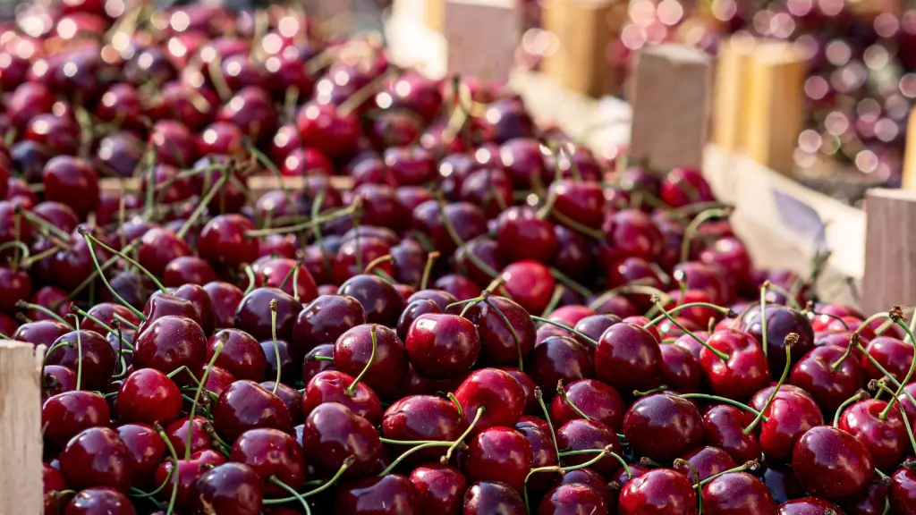 El sector enfrenta un escenario marcado por la alta variabilidad en los resultados y la presión económica creciente.