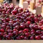 El sector enfrenta un escenario marcado por la alta variabilidad en los resultados y la presión económica creciente.