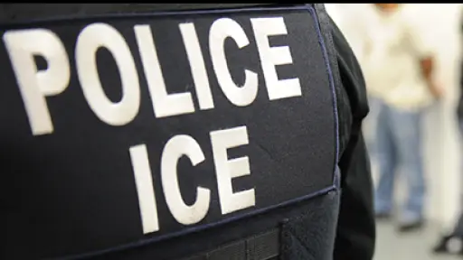 ICE detuvo a músico chileno en Miami: permanece en centro migratorio conocido como Alligator Alcatraz