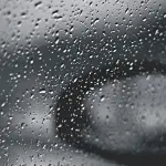 lluvia, naturaleza, ventana de coche, sombrío, gotas de lluvia, en blanco y negro, Pixabay