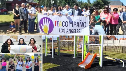 La historia detrás de la plaza inclusiva de Los Ángeles: proyecto fue trabajado con agrupación 