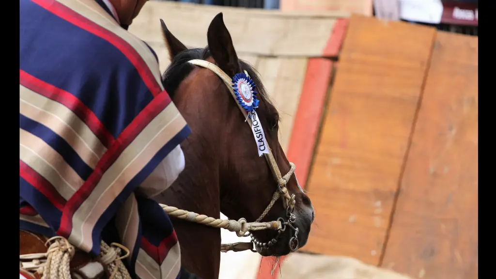 Colleras de distintas asociaciones del sur del país animarán el Clasificatorio Zona Sur en la Medialuna Socabio de Los Ángeles, primera parada rumbo al Campeonato Nacional de Rodeo de Rancagua 2026, La Tribuna