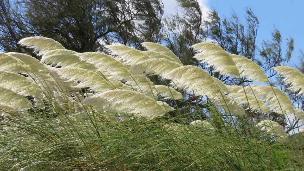 El evento se extenderá desde la tarde del domingo 1 hasta la mañana del lunes 2 de marzo, con rachas que llegarían a los 70 km/h en sectores cordilleranos., contexto