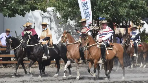 Medialuna Socabio recibe el Clasificatorio Zona Sur rumbo al Champion de Chile