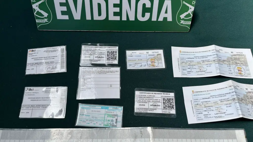 Carabineros logró la detención de cuatro individuos y el descubrimiento de un desarmadero clandestino que ocultaba 14 vehículos, además de armamento artesanal y drogas., Carabineros de Chile 