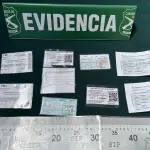 Carabineros logró la detención de cuatro individuos y el descubrimiento de un desarmadero clandestino que ocultaba 14 vehículos, además de armamento artesanal y drogas., Carabineros de Chile 