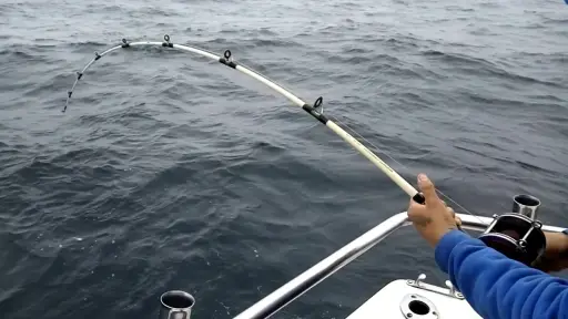 Campeonato Nacional de Pesca Embarcada llegará al Lago Angostura con competidores de todo el país