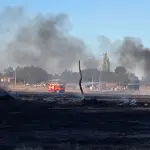 Bomberos y Conaf trabajaron en el combate de un incendio forestal en sector El Olivo al norte de Los Ángeles, Cedida