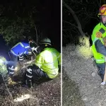 Bomberos rescatan a perro que cayó por quebrada de 20 metros en Antuco, Diario La Tribuna
