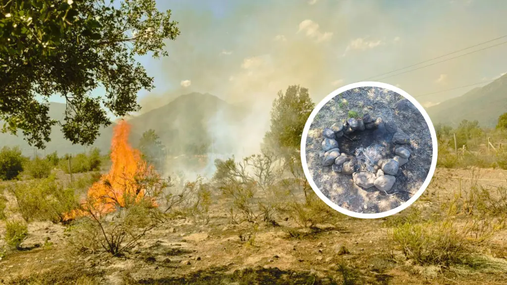 El fuego afectó más de 300 metros de pastizales en el sector Manquel, en la ruta Q-45., Cedidas