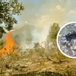 El fuego afectó más de 300 metros de pastizales en el sector Manquel, en la ruta Q-45., Cedidas