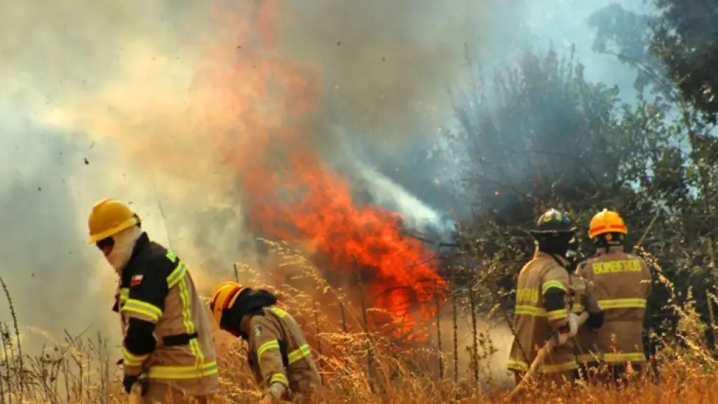 Conaf advierte que riesgo de incendios forestales en Biobío podría extenderse hasta abril, referencial