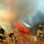 Conaf advierte que riesgo de incendios forestales en Biobío podría extenderse hasta abril, referencial