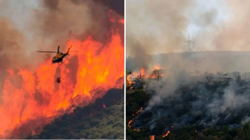 Incendio en Reserva Nacional Ñuble sigue activo en Antuco y se mantiene Alerta Roja, Diario La Tribuna