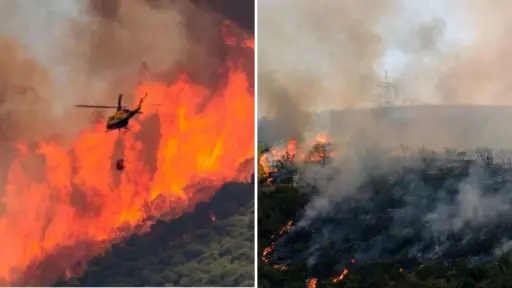 Incendio en Reserva Nacional Ñuble sigue activo en Antuco y se mantiene Alerta Roja