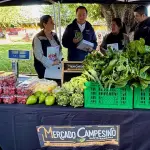 Santa Bárbara inauguró un Mercado Campesino por parte del Indap, Indap Biobío 