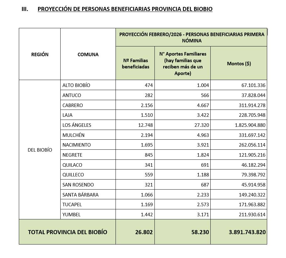 Cifras Provincia Biobío / Cedida Chile Atiende