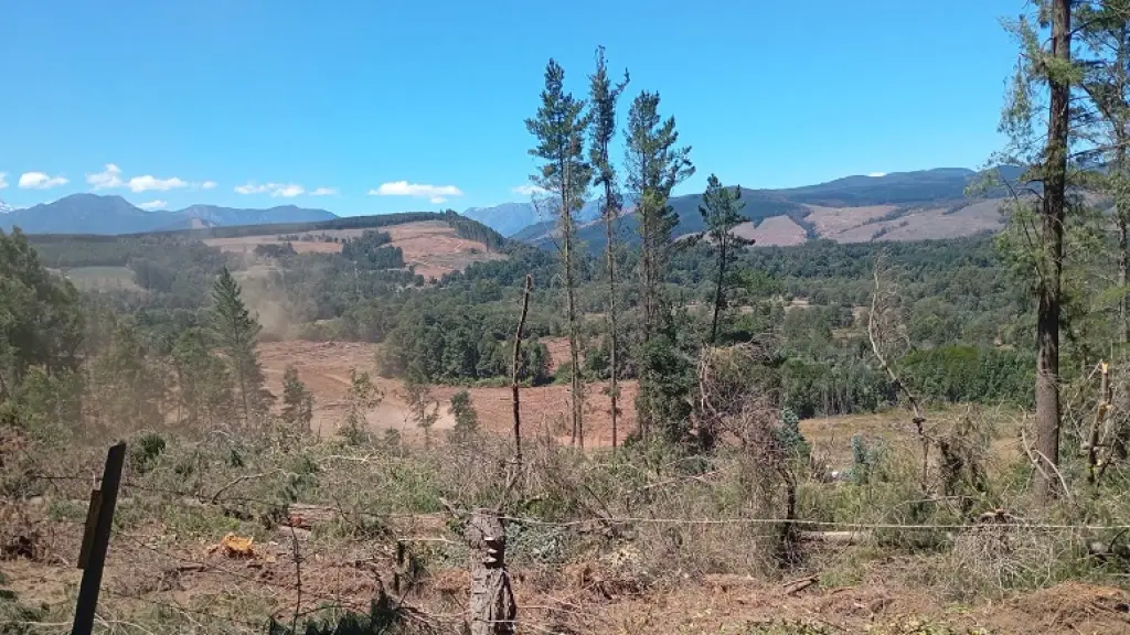 Sectores rurales de Bío Bío, Archivo La Tribuna