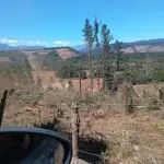 Sectores rurales de Bío Bío, Archivo La Tribuna