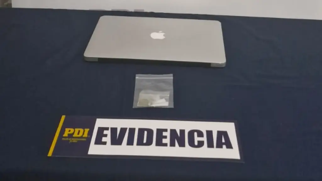 Un detenido por robo a una farmacia en Los Sauces logró la PDI de Traiguén, Cedida