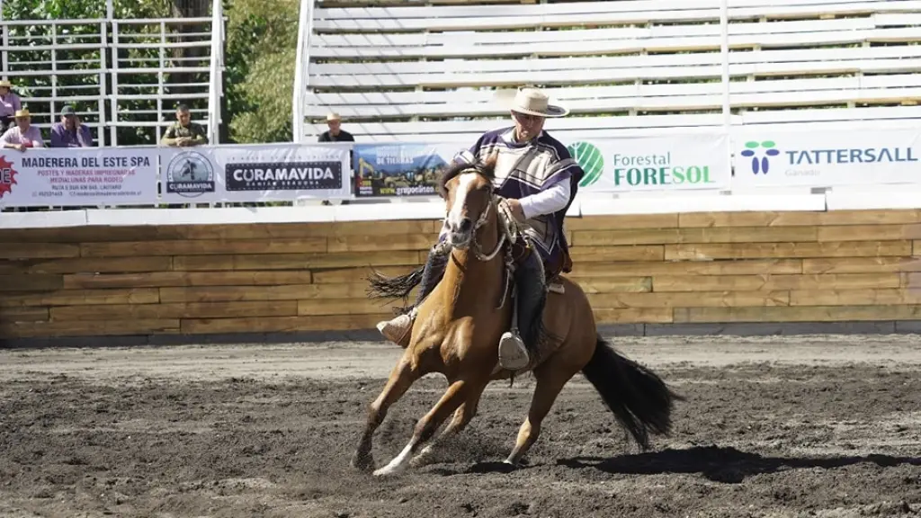 El Clasificatorio Zonal Sur es la antesala directa al Campeonato Nacional y una de las competencias más relevantes del calendario corralero, La Tribuna